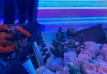 上海嘉定区附近ktv招聘酒水促销员,(不够给补贴)