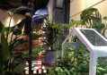 上海奉贤区附近ktv招聘商务礼仪,一个月上几天班