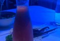 上海cats eye招聘前台迎宾,(上班事情少,放假多)