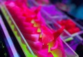 上海哪里ktv招聘酒销队长,(夜场上班需要什么人情世故？)