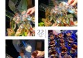 上海嘉定区外冈镇附近酒吧招聘现场DJ,可以兼全职
